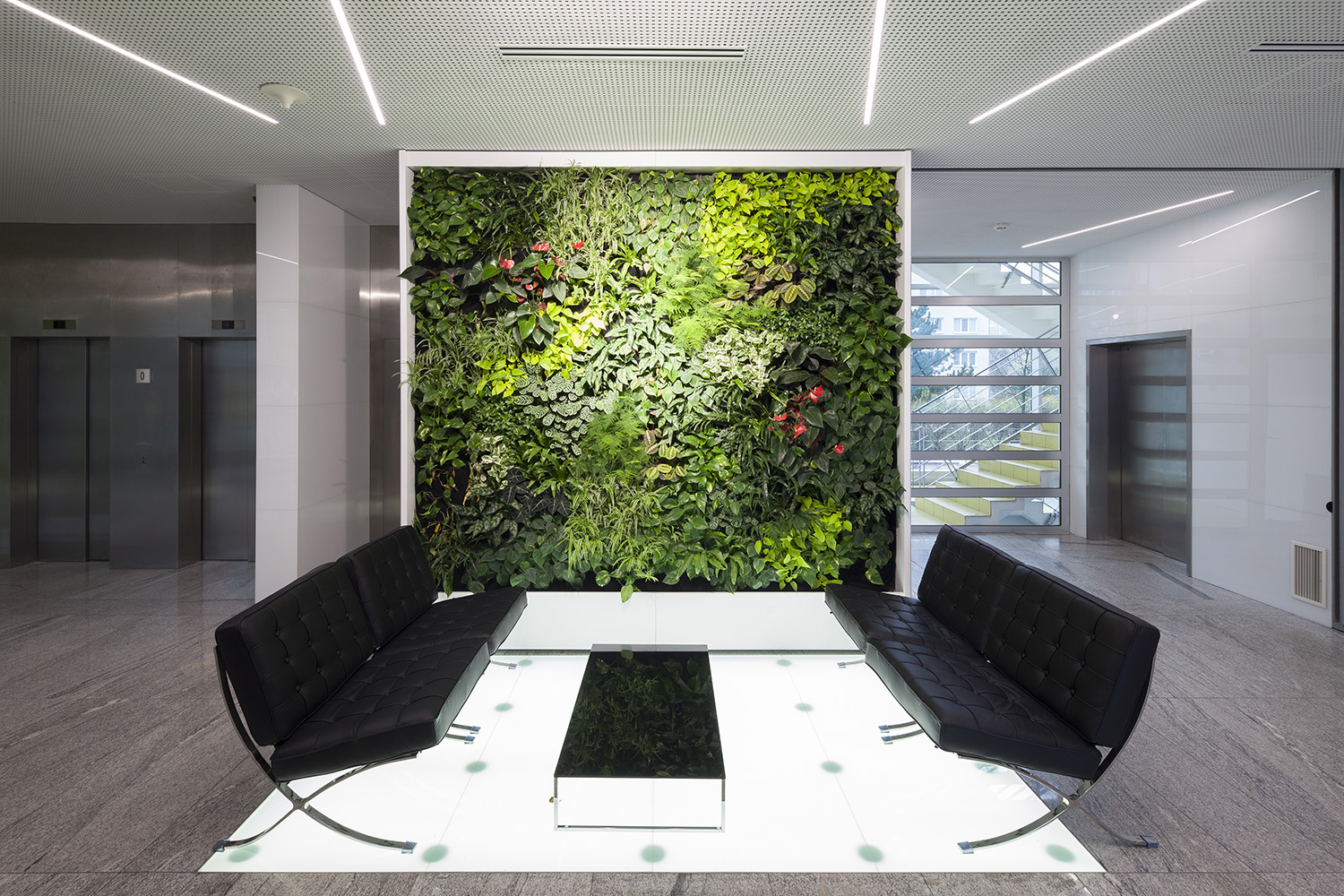 AD_Raiffeisenbank-Olbrachtova_141122_13web.jpg